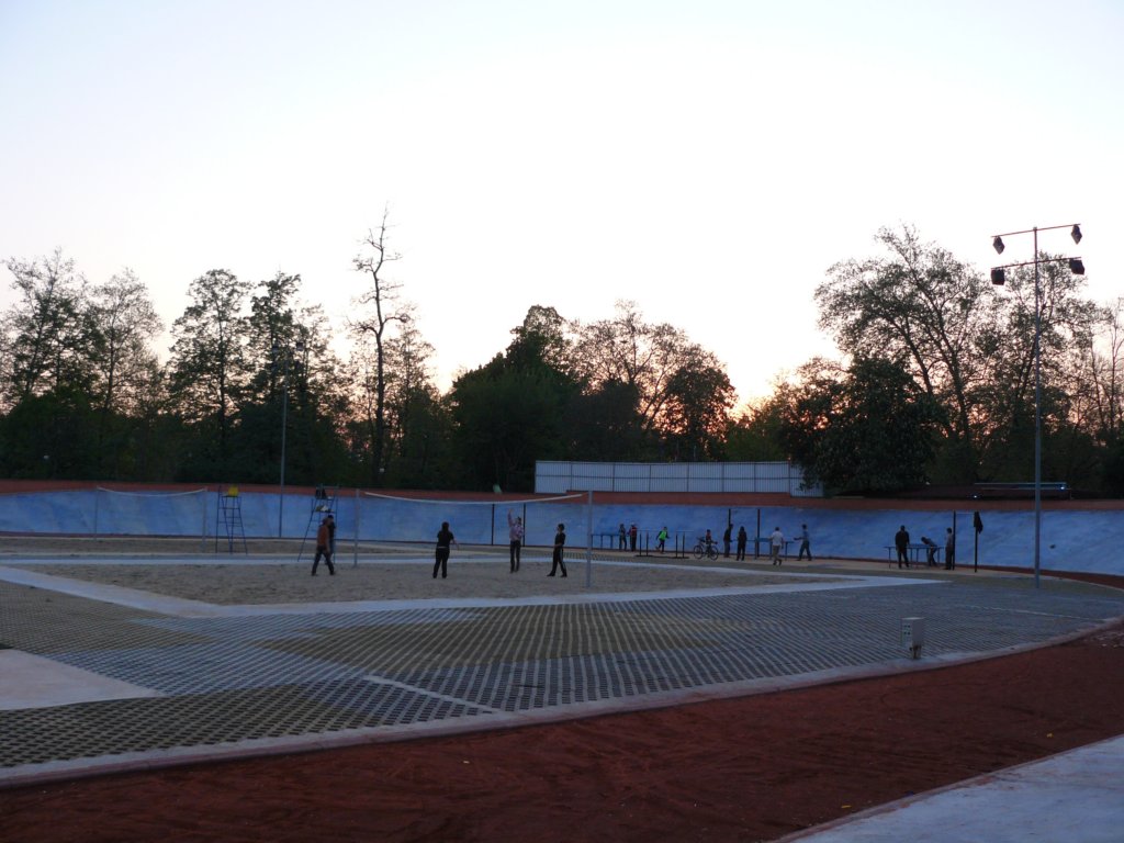 p1130842.jpg