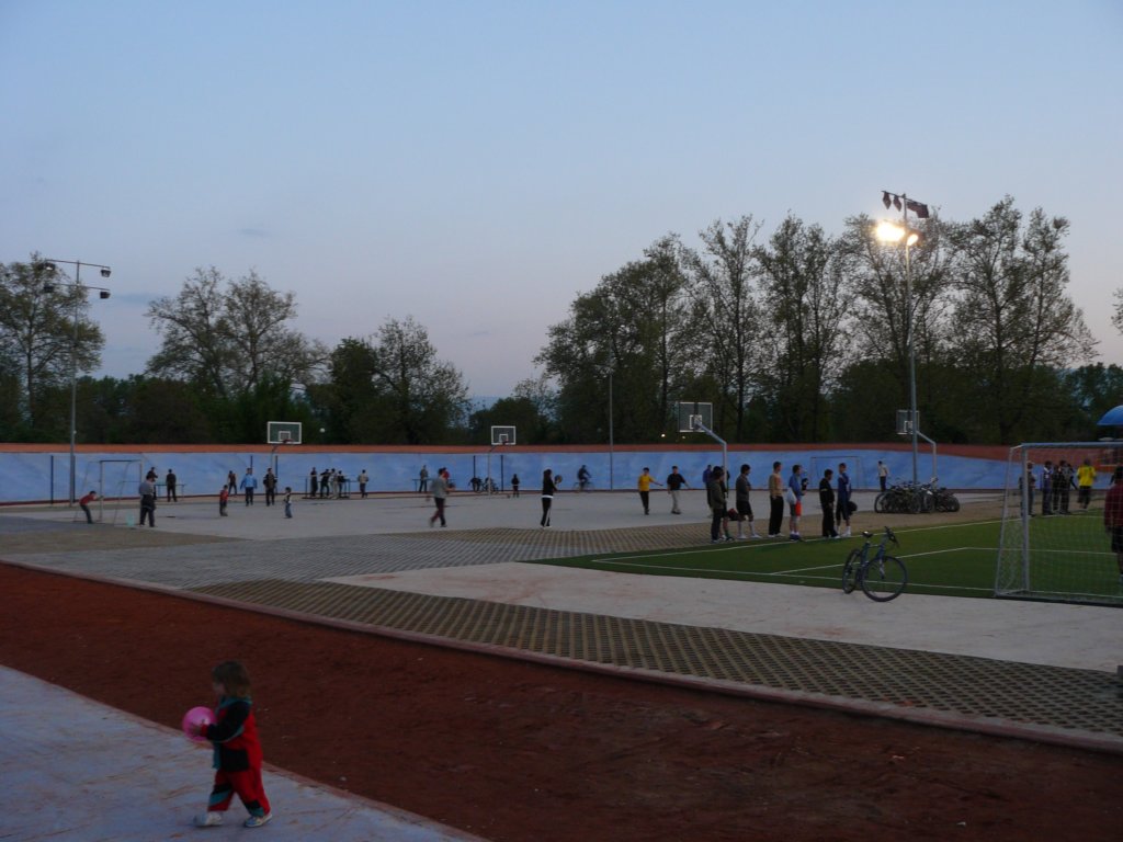 p1130843.jpg