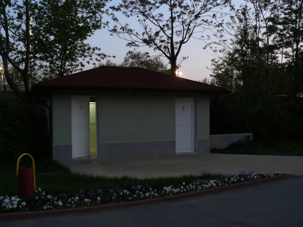 p1130854.jpg