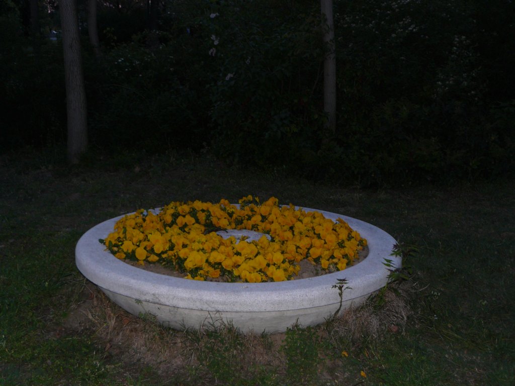 p1130859.jpg