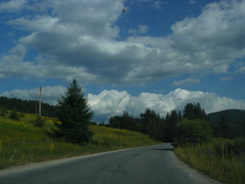 p1260404.jpg