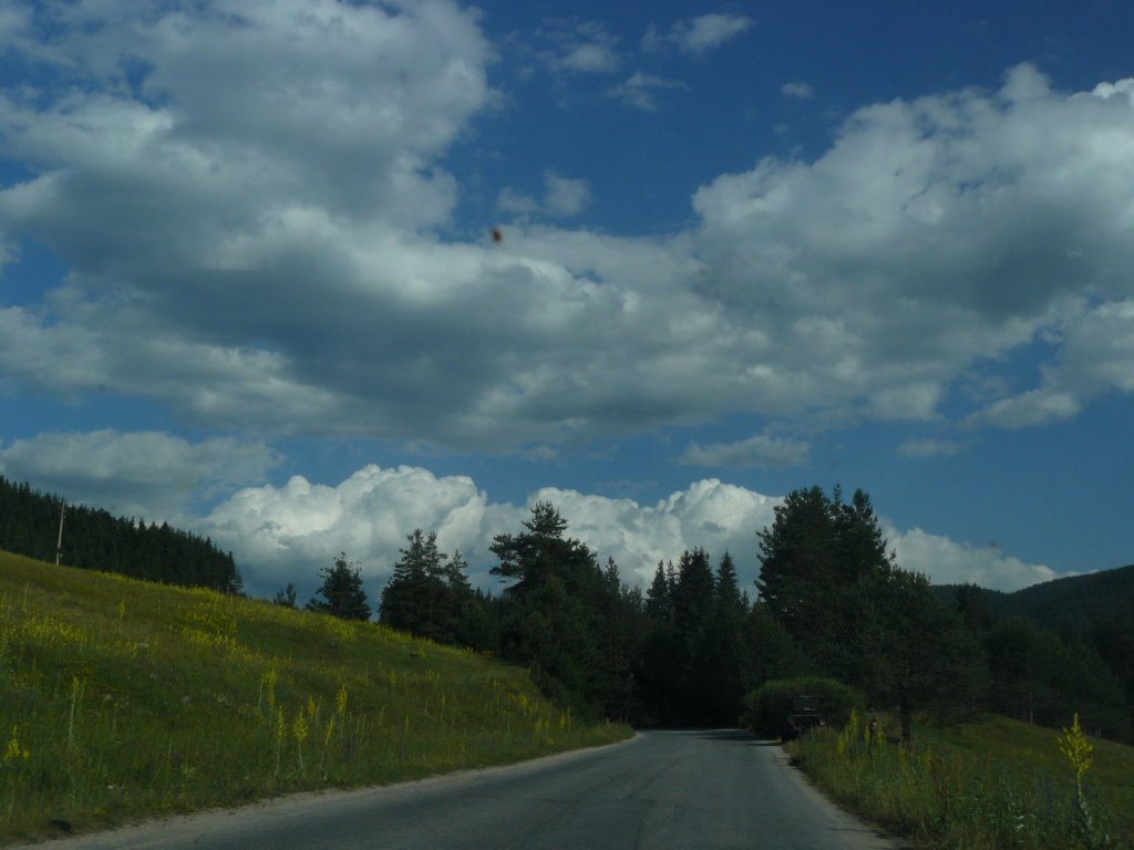 p1260405.jpg