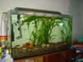 dsc00461_small.jpg