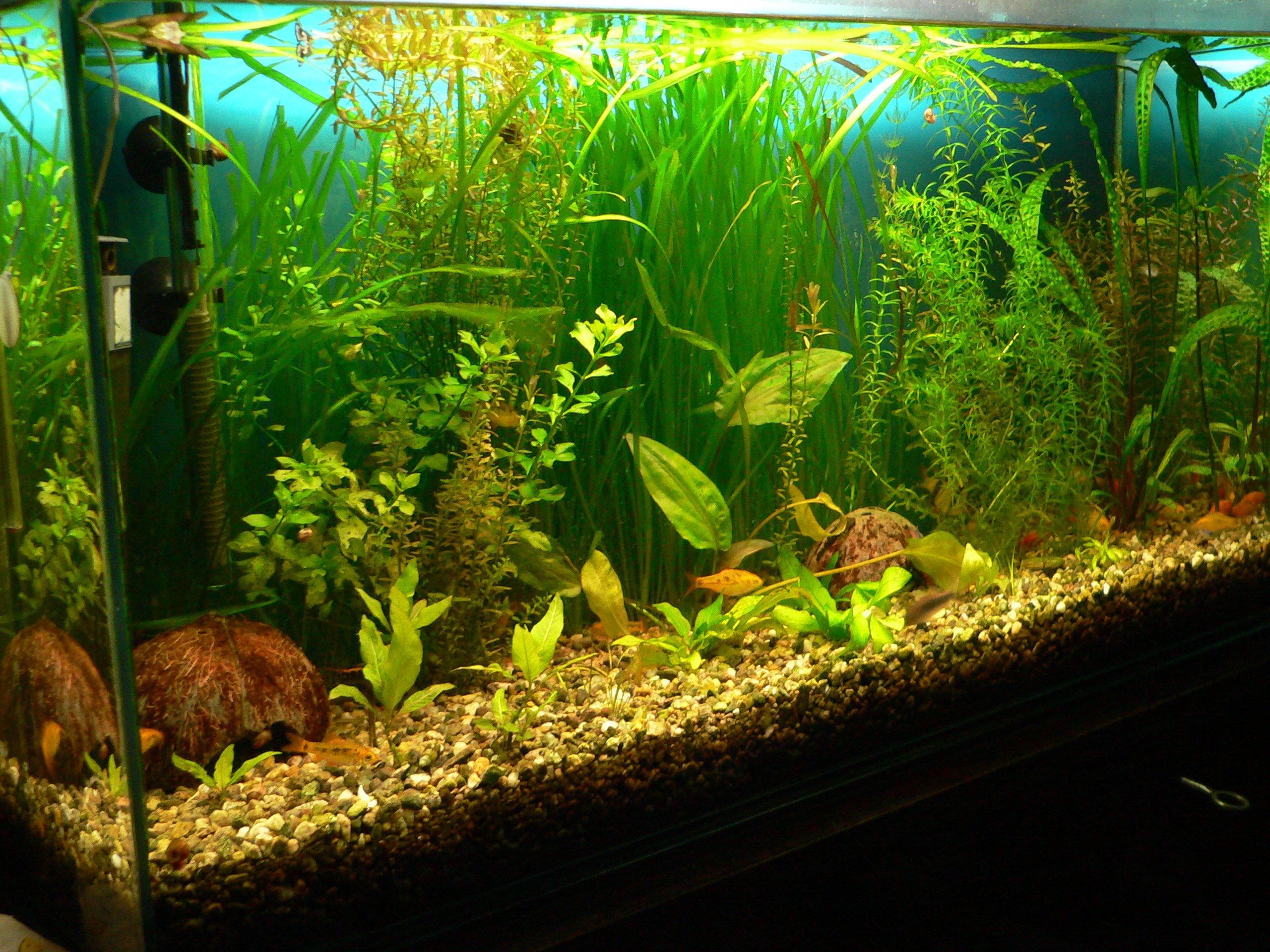 p1110554.jpg