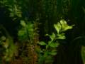p1110562_small.jpg