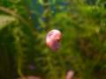p1110567_small.jpg