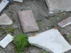 p1010462_small.jpg