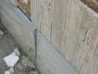 p1010464_small.jpg