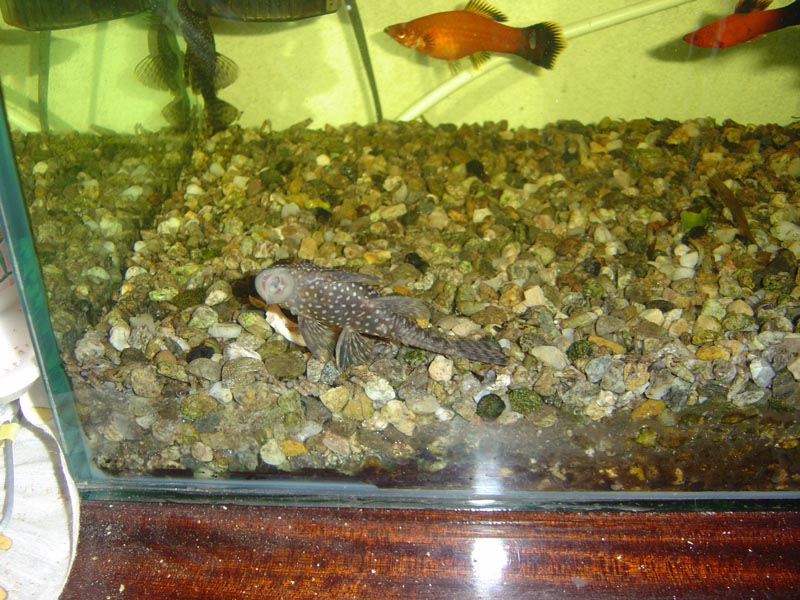 DSC00015