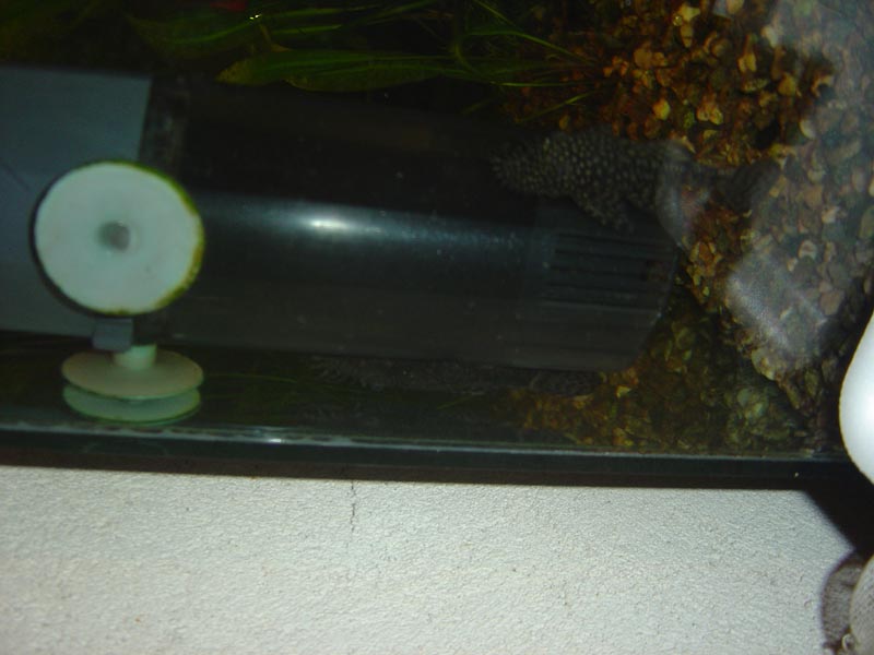 DSC00018