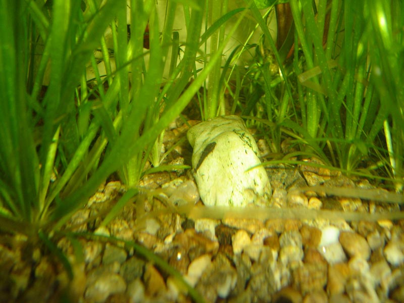 DSC00034
