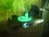 Photo Number 6