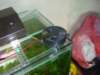 Photo Number 6