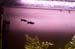 DCP_0160